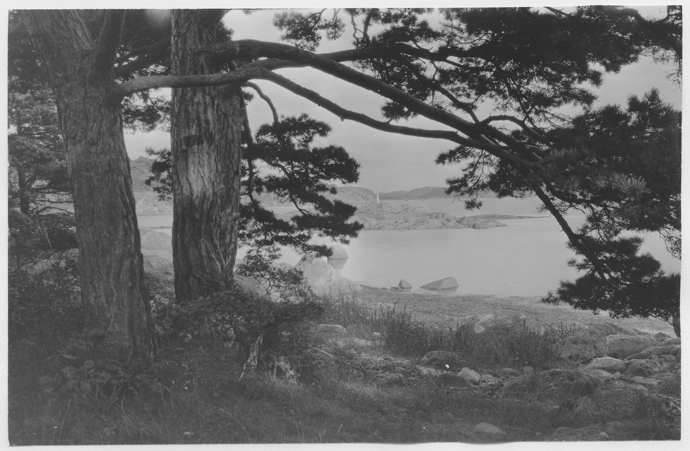 Mårten Sjöbeck, Särö, stränder