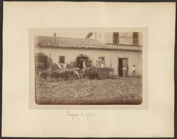 Unknown, Ingenio de azúcar