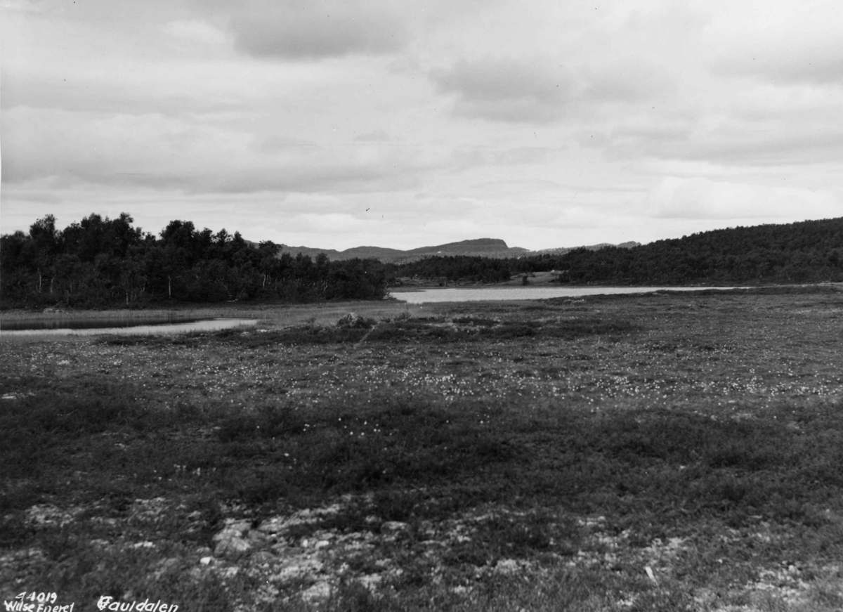 Anders Beer Wilse, Topografi