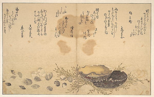 Kitagawa Utamaro, Shells Under Water