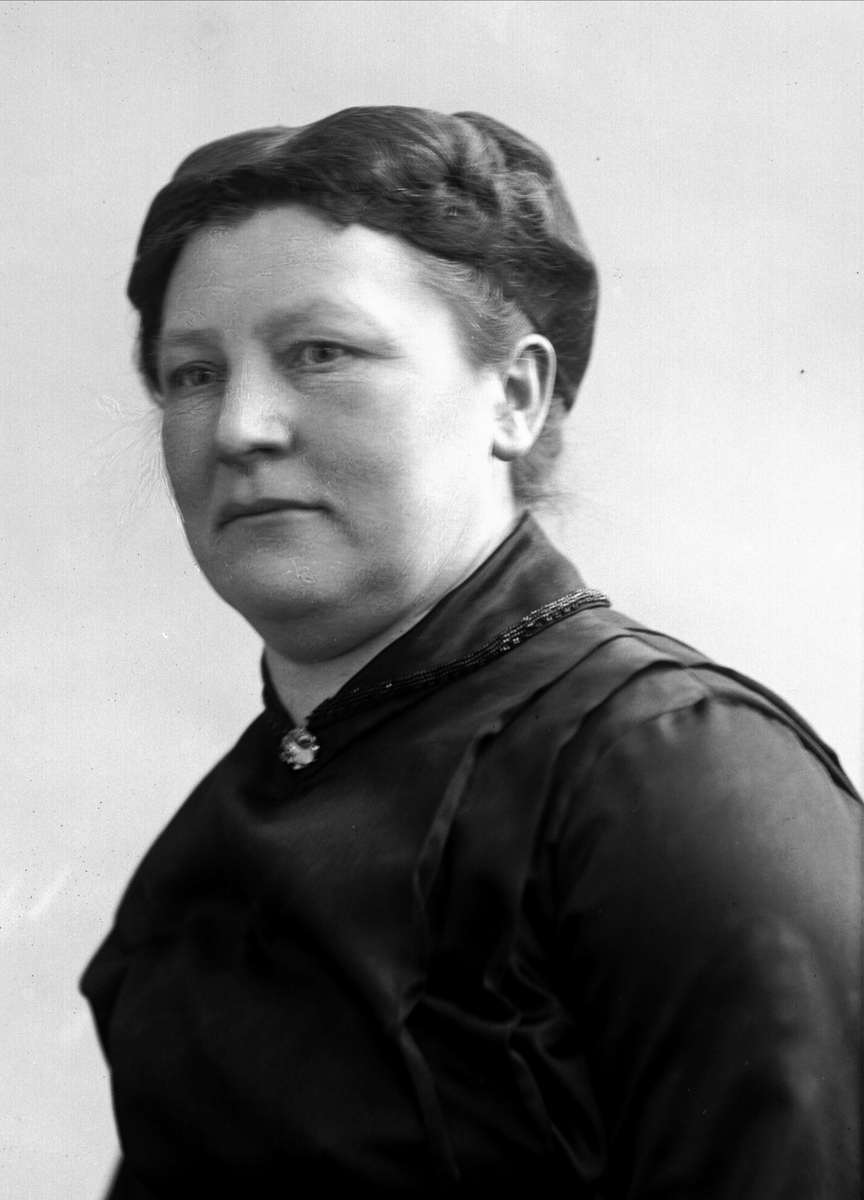 Gustav Borgen, NFB.07835