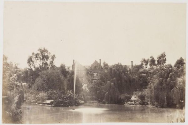 unknown, Photograph