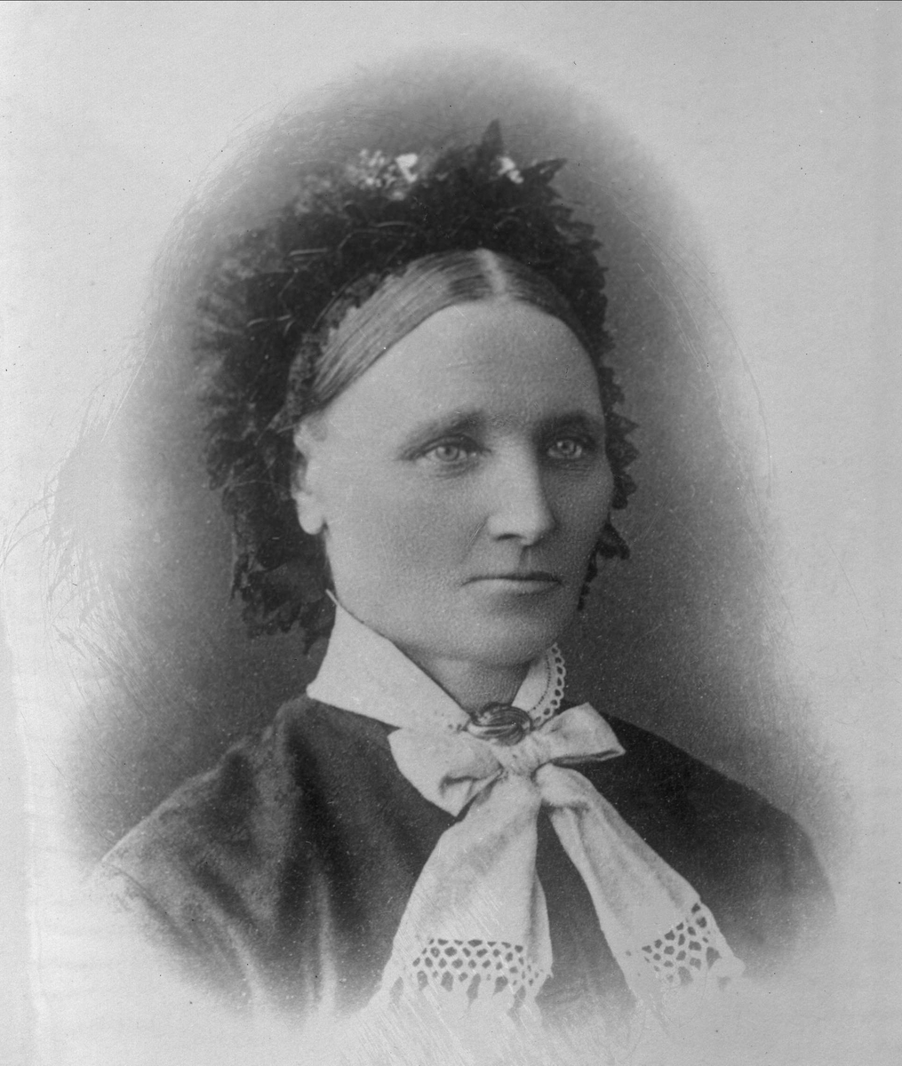 Gustav Borgen, Avfotografering.