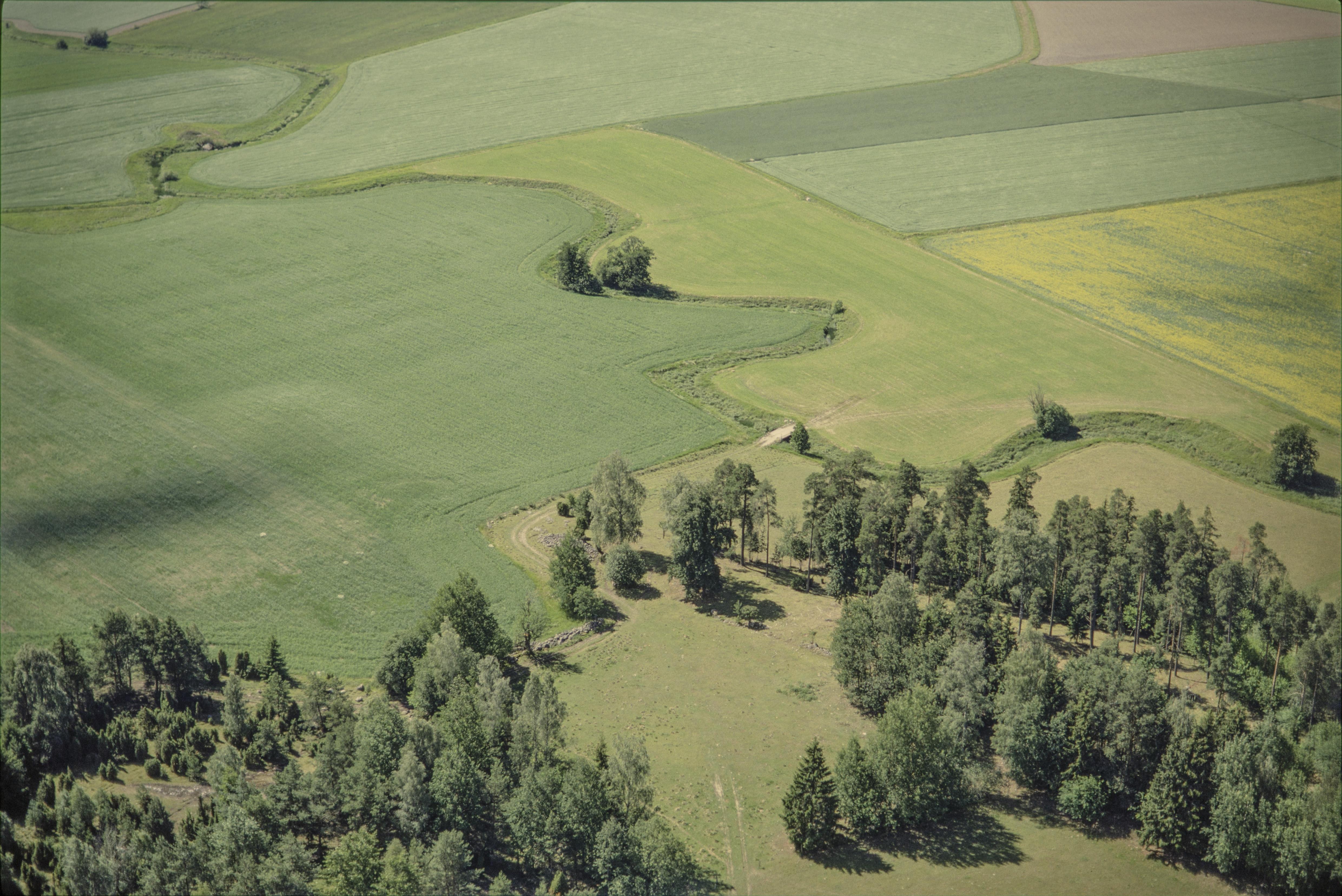Jan Norrman, Munktorp 271:1