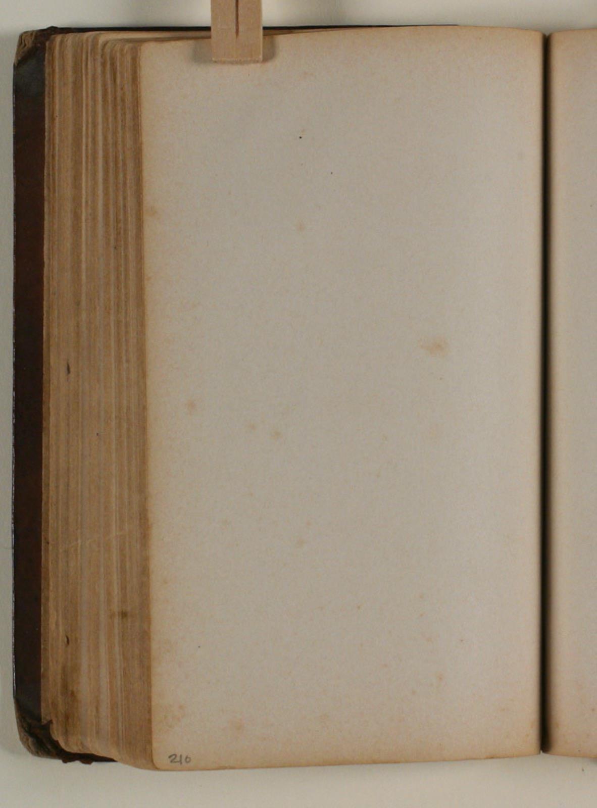 Niels Larsen Stevns, Blank