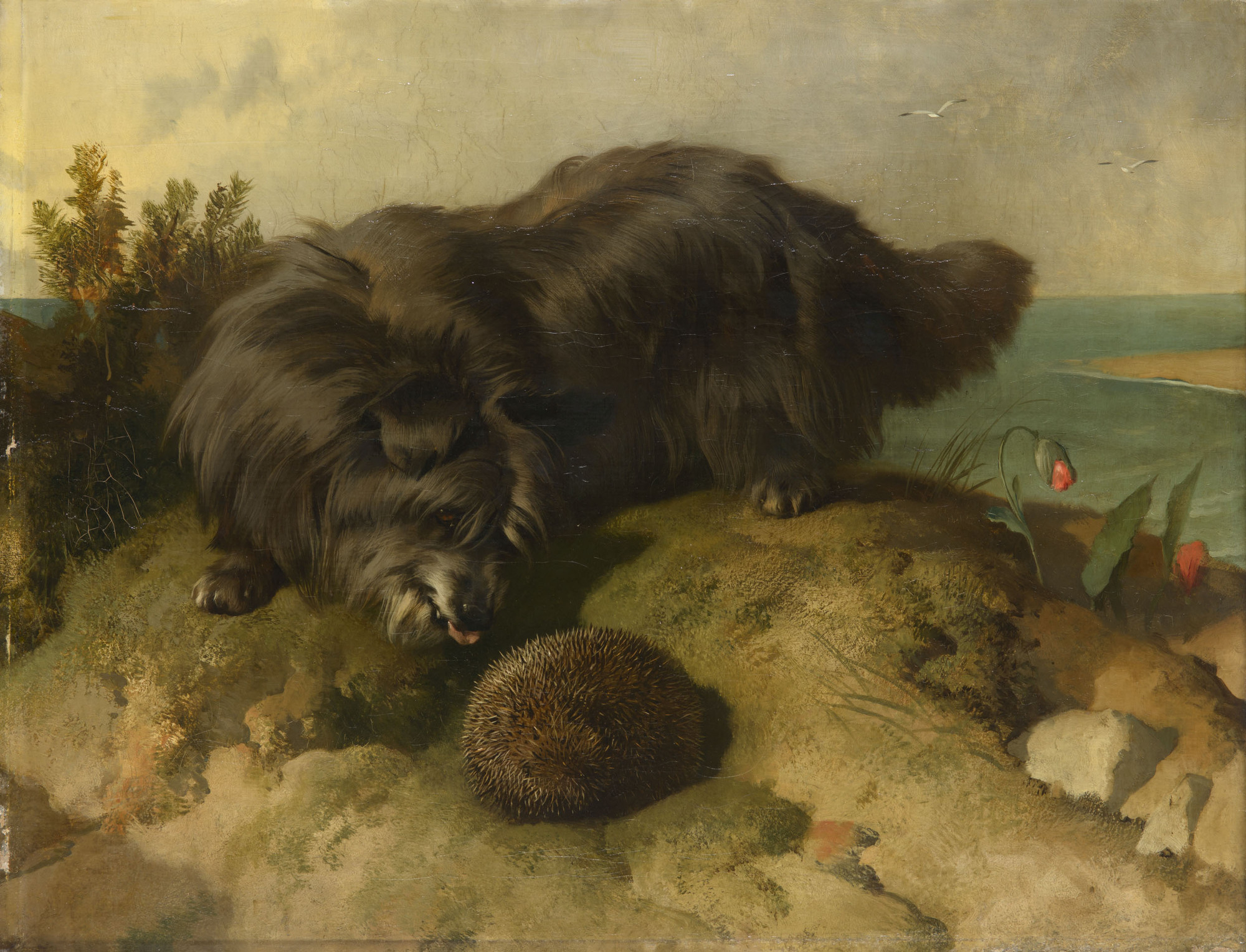 Edwin Landseer, Dandie Dinmont