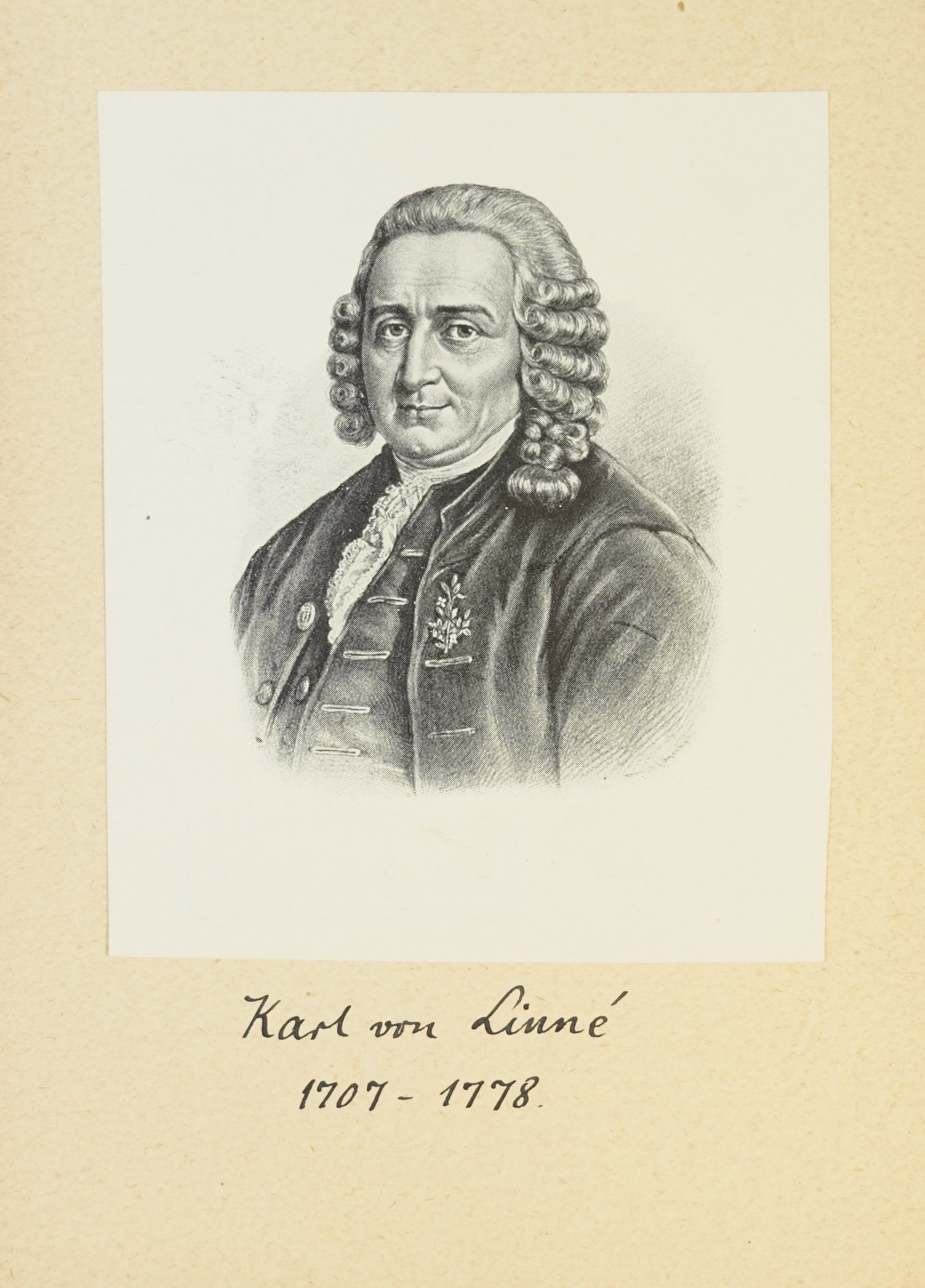 Carl von Linné, Porträt von Carl von Linné