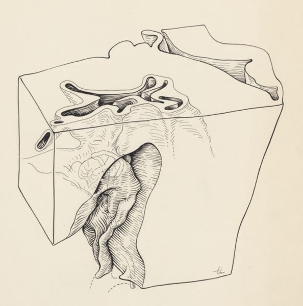 J Tinkelenberg, Cross section of a heart