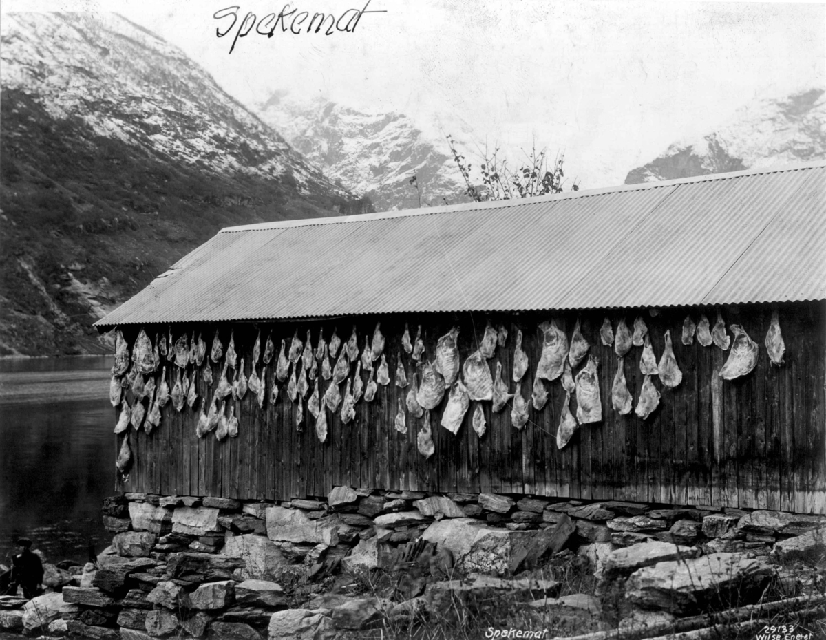 Anders Beer Wilse, Spekemat