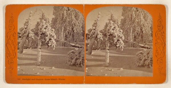 George E. Curtis, Sunlight and Shadow - Luna Island - Winter [Niagara Falls, N.Y.]