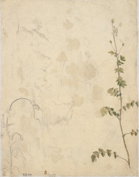 Dankvart Dreyer, Planter. En skyhimmel