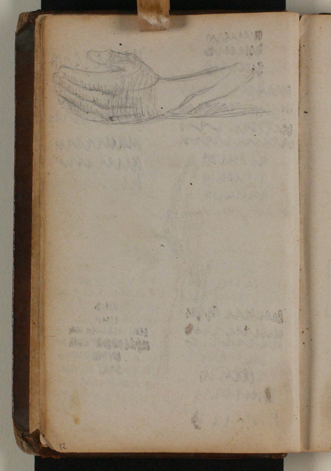 Niels Larsen Stevns, Studie af hånd og underarm