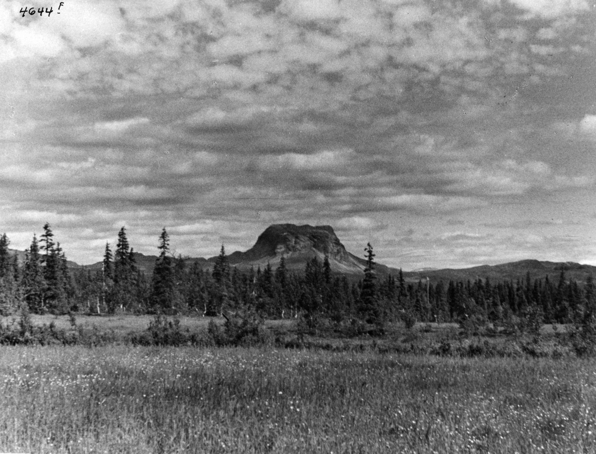 Anders Beer Wilse, Topografi