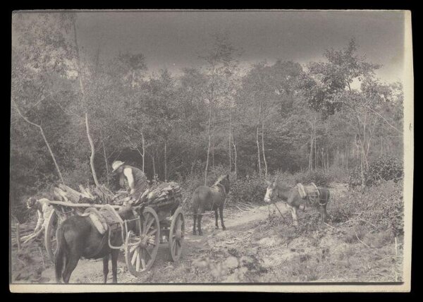 Gale, Lt. Col. Joseph, Rural Life