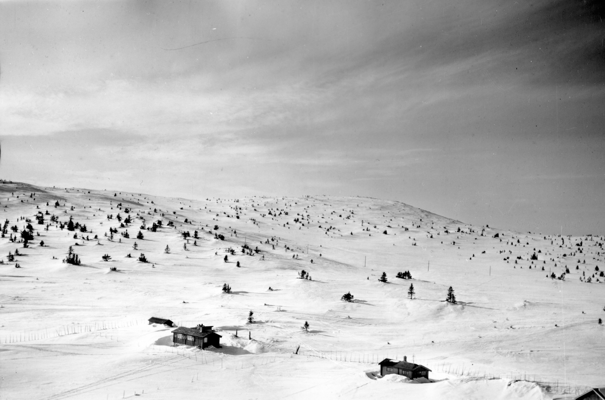 Widerøes Flyveselskap A/S, Flyfoto av bebyggelse i vinterlandskap på Sjusjøen, Ringsaker Almenning.