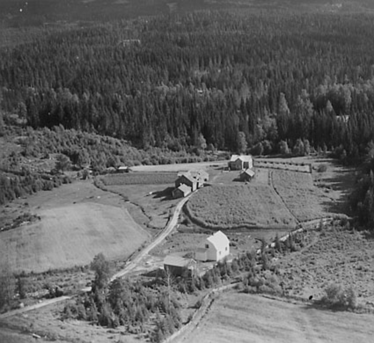 Widerøes Flyveselskap A/S, FLYFOTO VENÅS, VALLSET