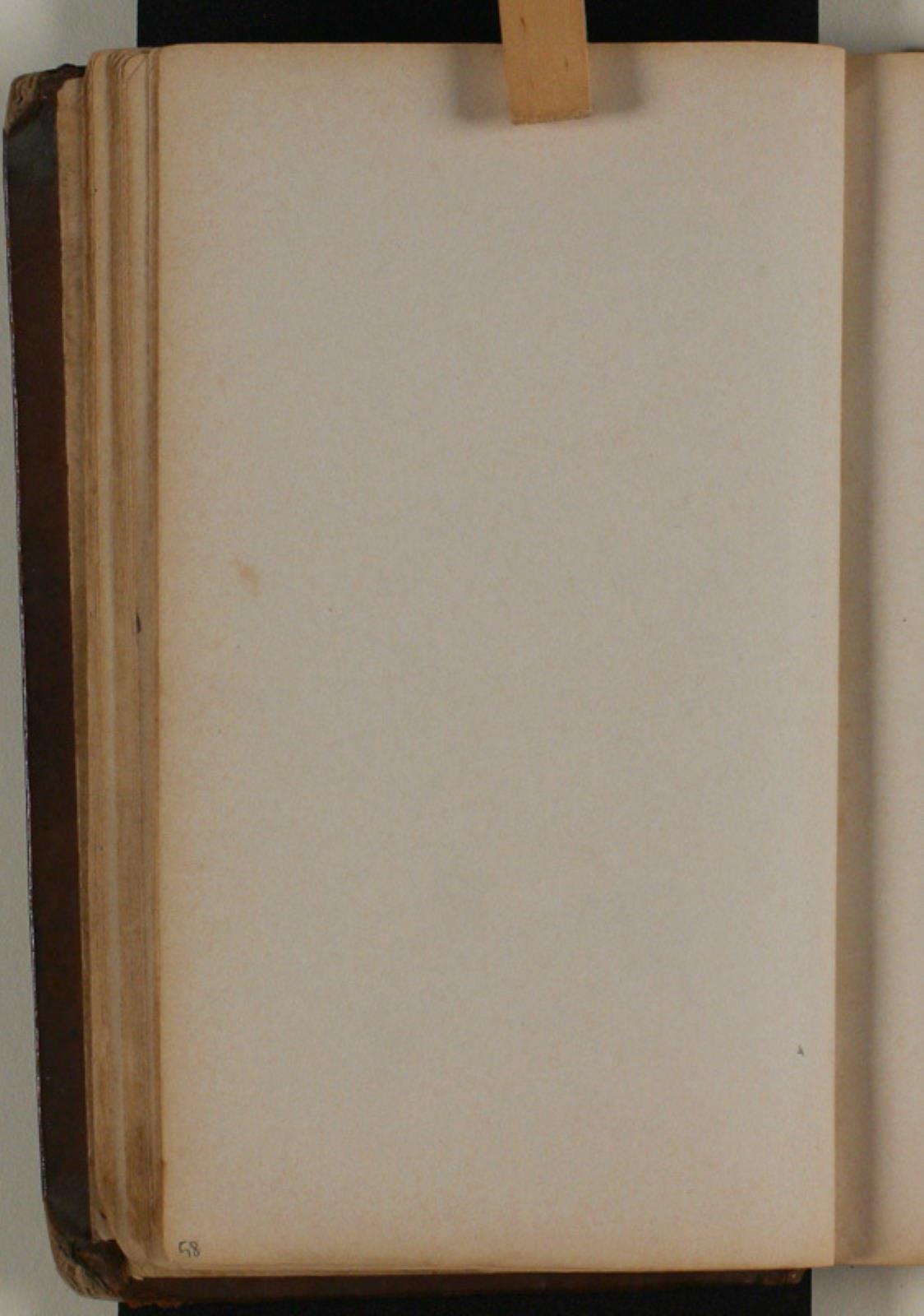 Niels Larsen Stevns, Blank