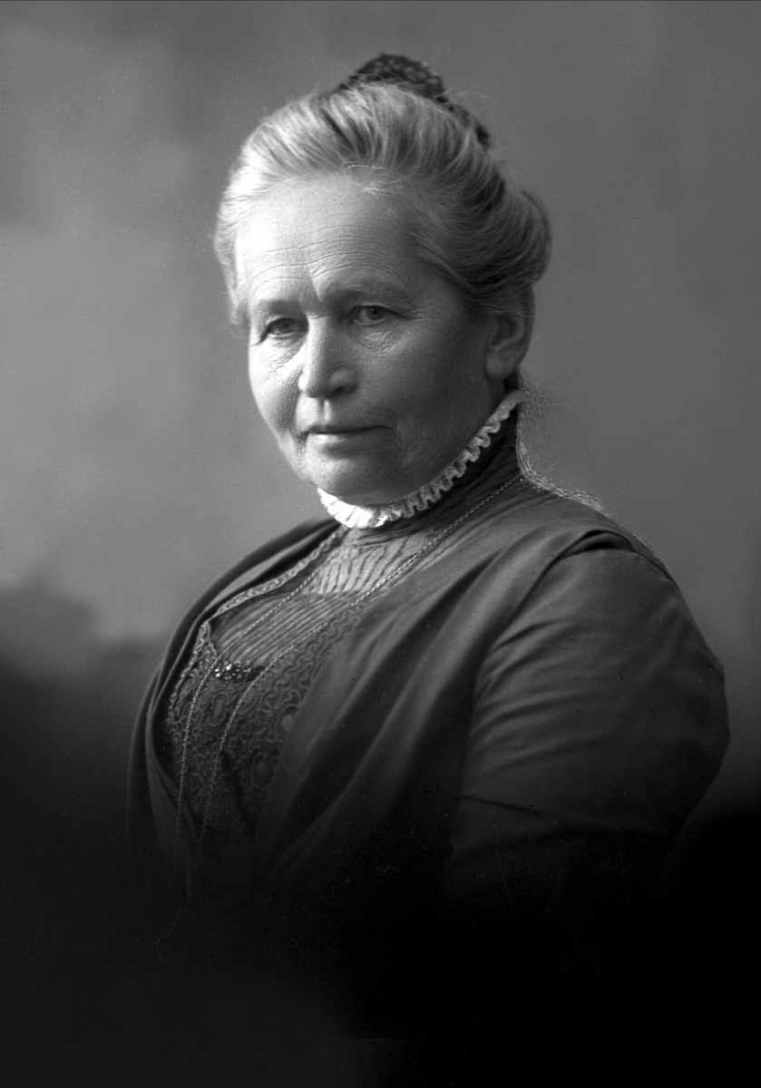 Gustav Borgen, NFB.09709