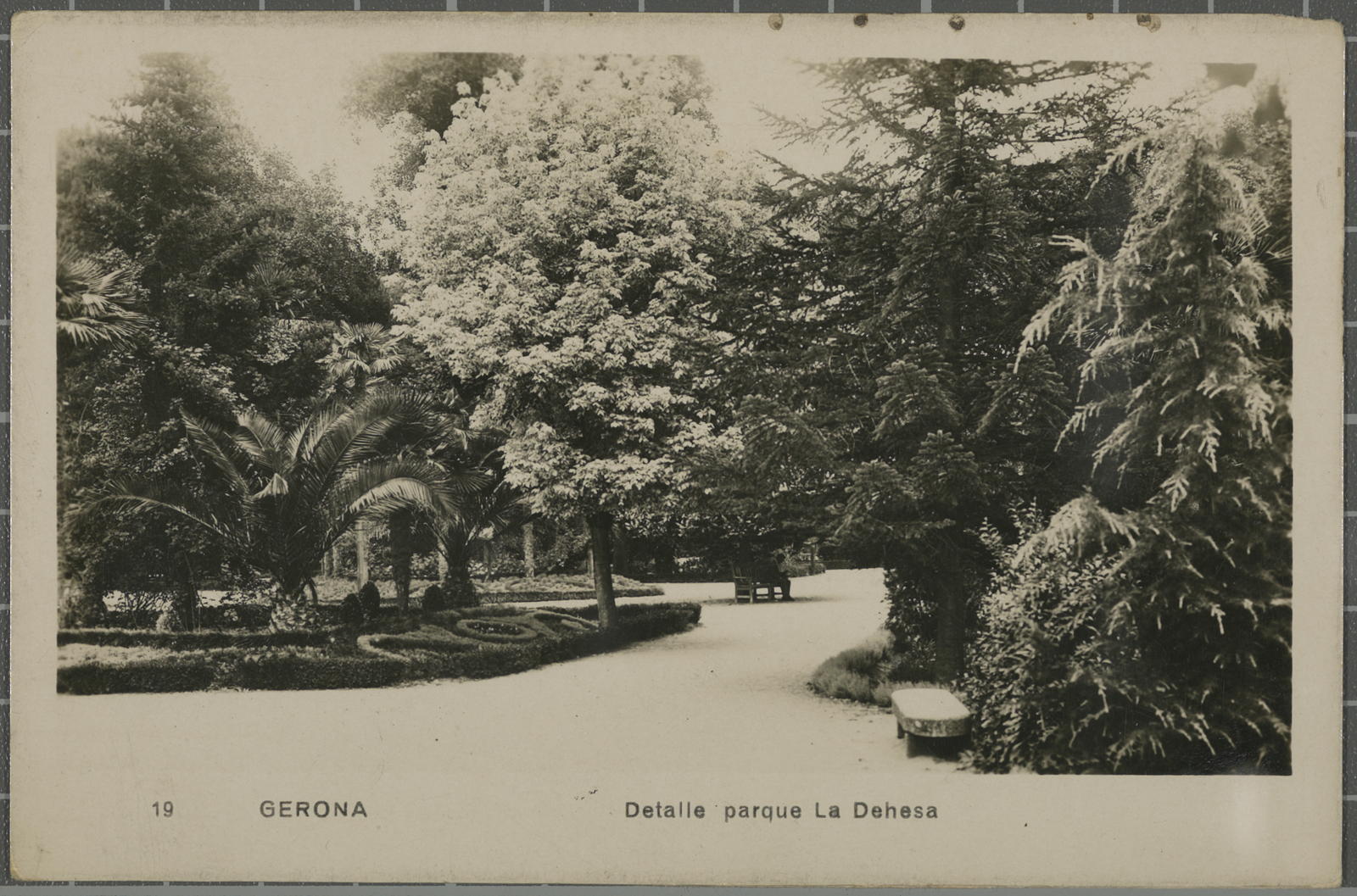 Desconegut, 19 Gerona Detalle Parque de la Dehesa