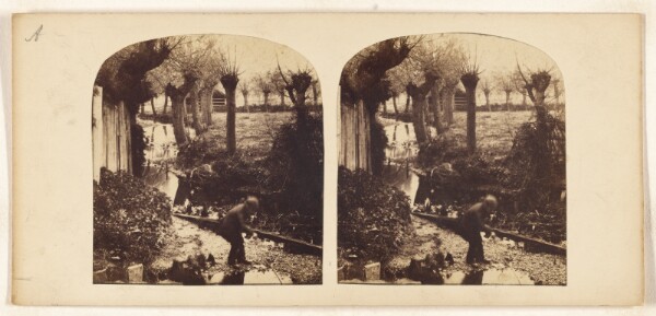 Unknown, [Side of the Gipping near Old Mill]