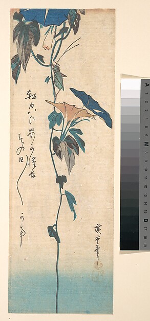 Utagawa Hiroshige, Grasshopper and Morning-glory Vine