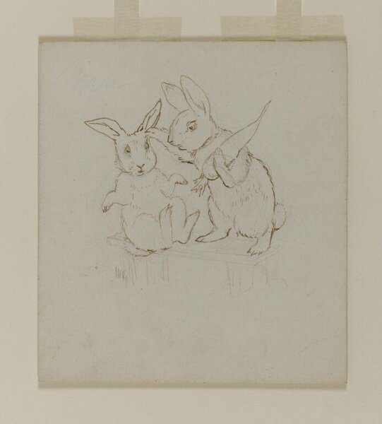 Potter, Beatrix, drawing