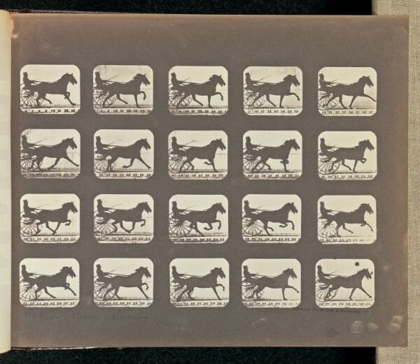 Eadweard J. Muybridge, Racking - Change to Running