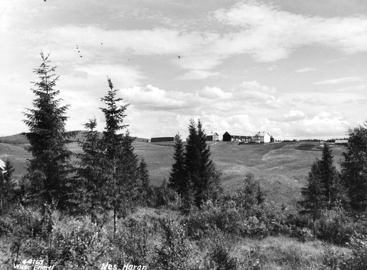Anders Beer Wilse, Topografi