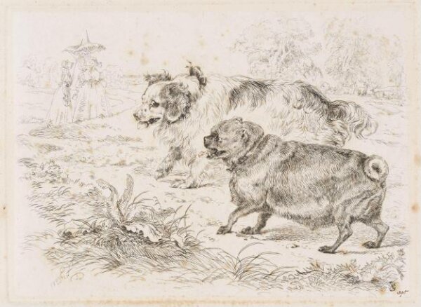 Edwin Landseer, The Two Pet Dogs