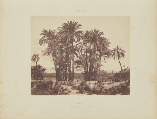Félix Teynard, Karnak. Groupe de Dattiers vu du Point A
