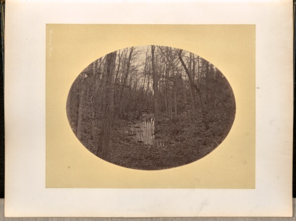 George Kendall Warren, [Wooded area, West Point]