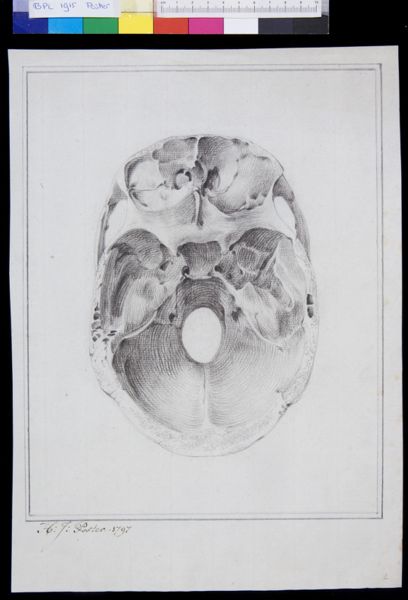 Poster, H.J, (active, Skull (view from below)