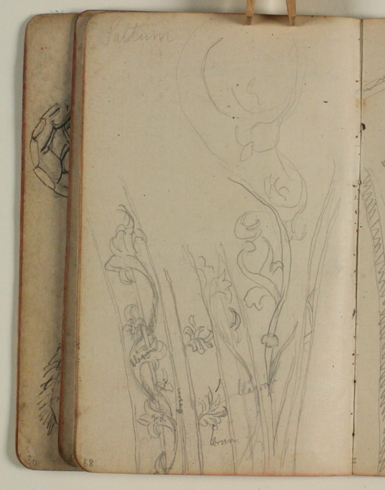 Niels Larsen Stevns, Studier af ornamentranker fra Saltum kirke