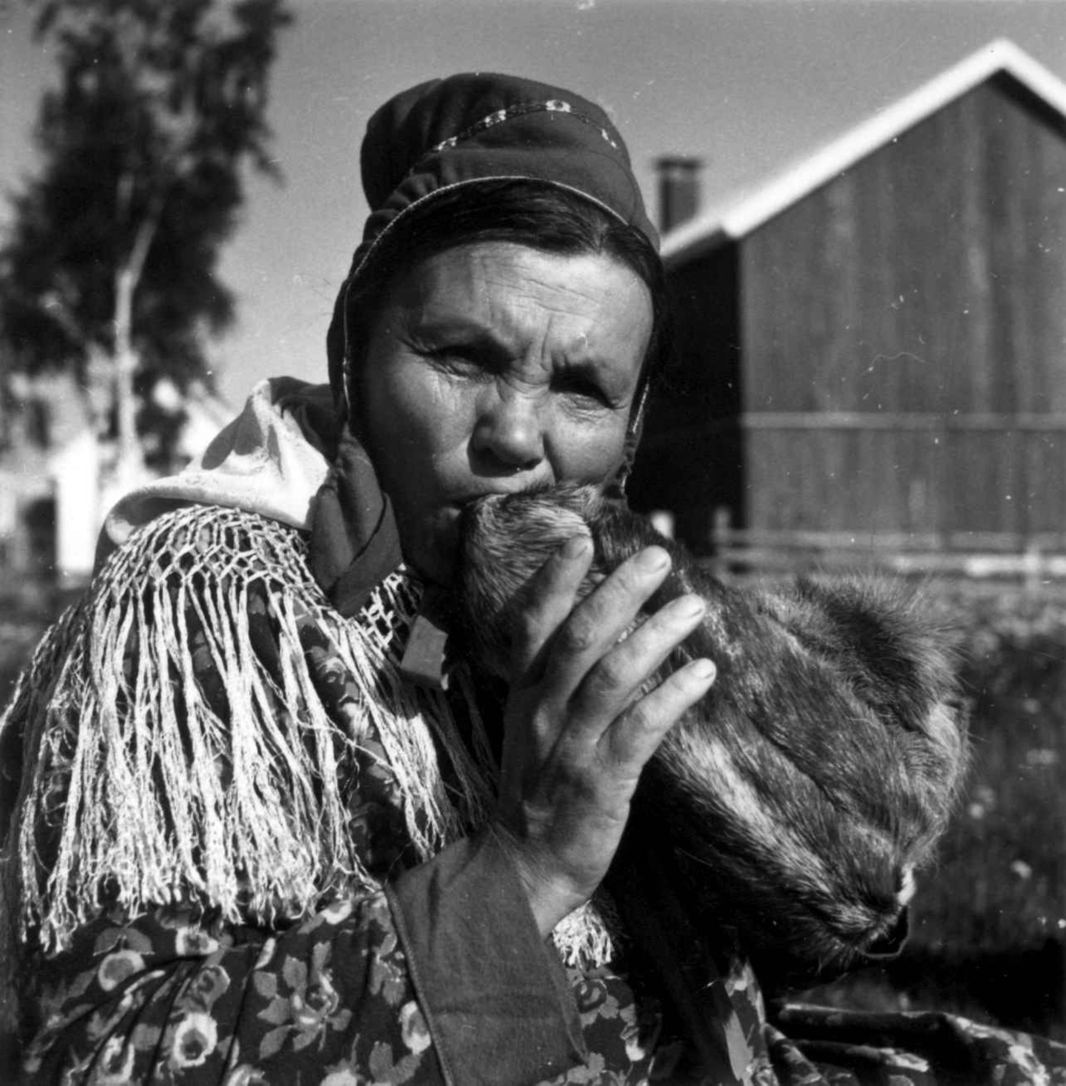 Virginia Raymond Davidson, Skallelaging. Kirsten Ravna Gaup Trekker ut tuppen på skallen med tennene. Karasjok 1961.
