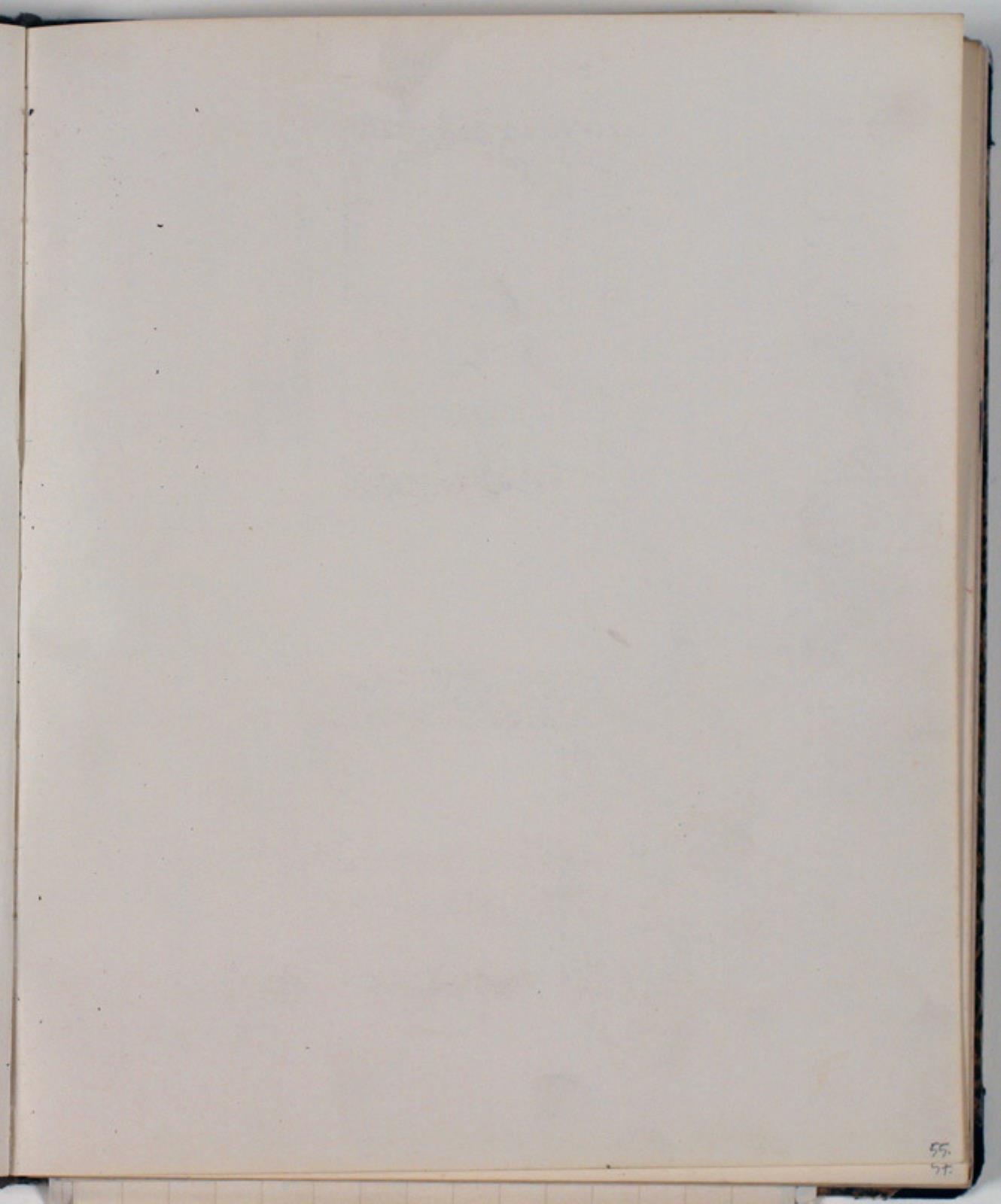 Niels Larsen Stevns, Blank