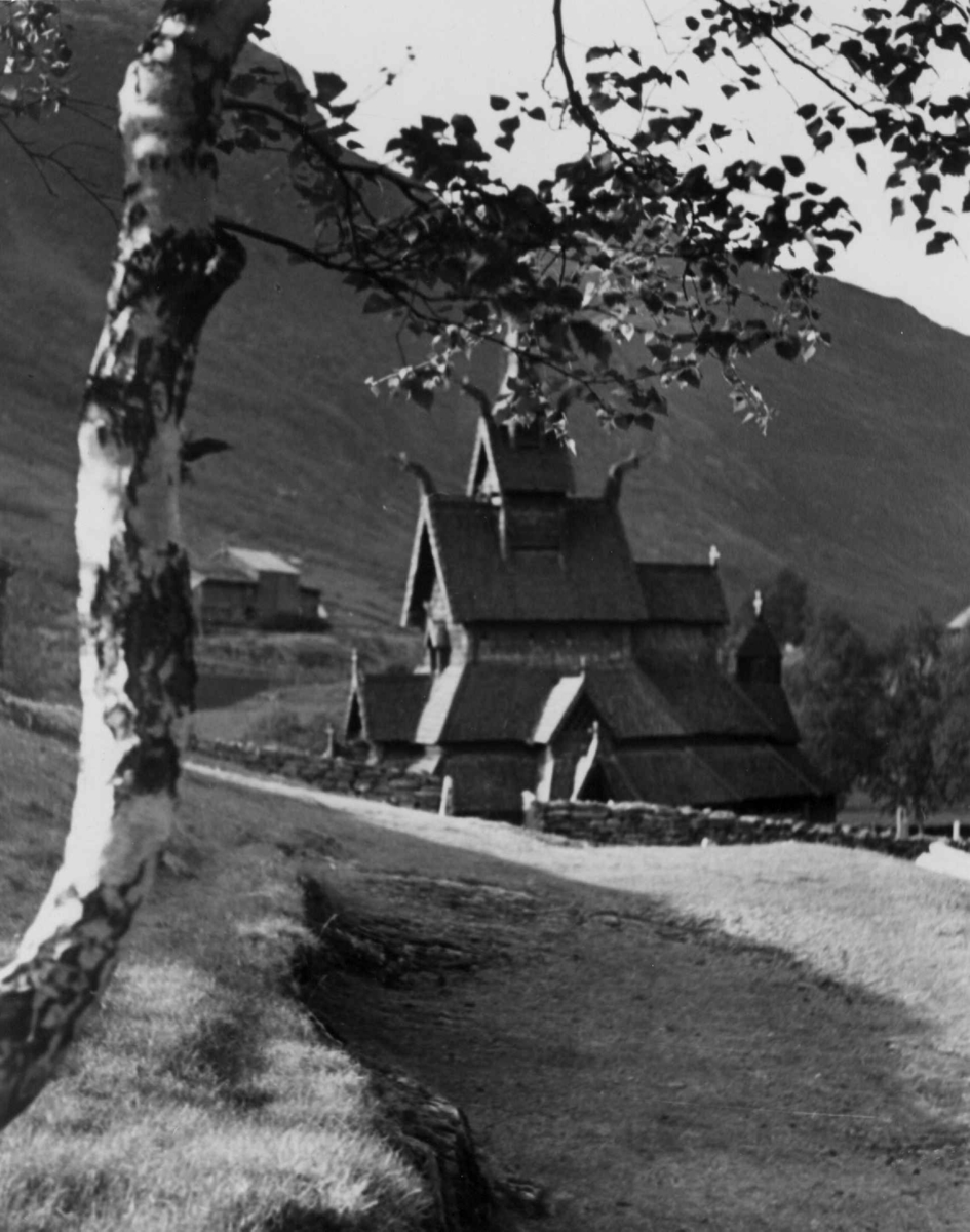 Anders Beer Wilse, Borgund stavkirke