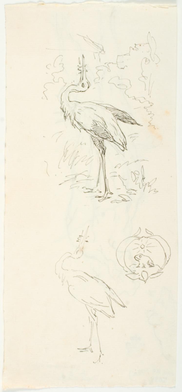 Lorenz Frølich, Tre illustrationsudkast til H.C. Andersen, Skrubtudsen