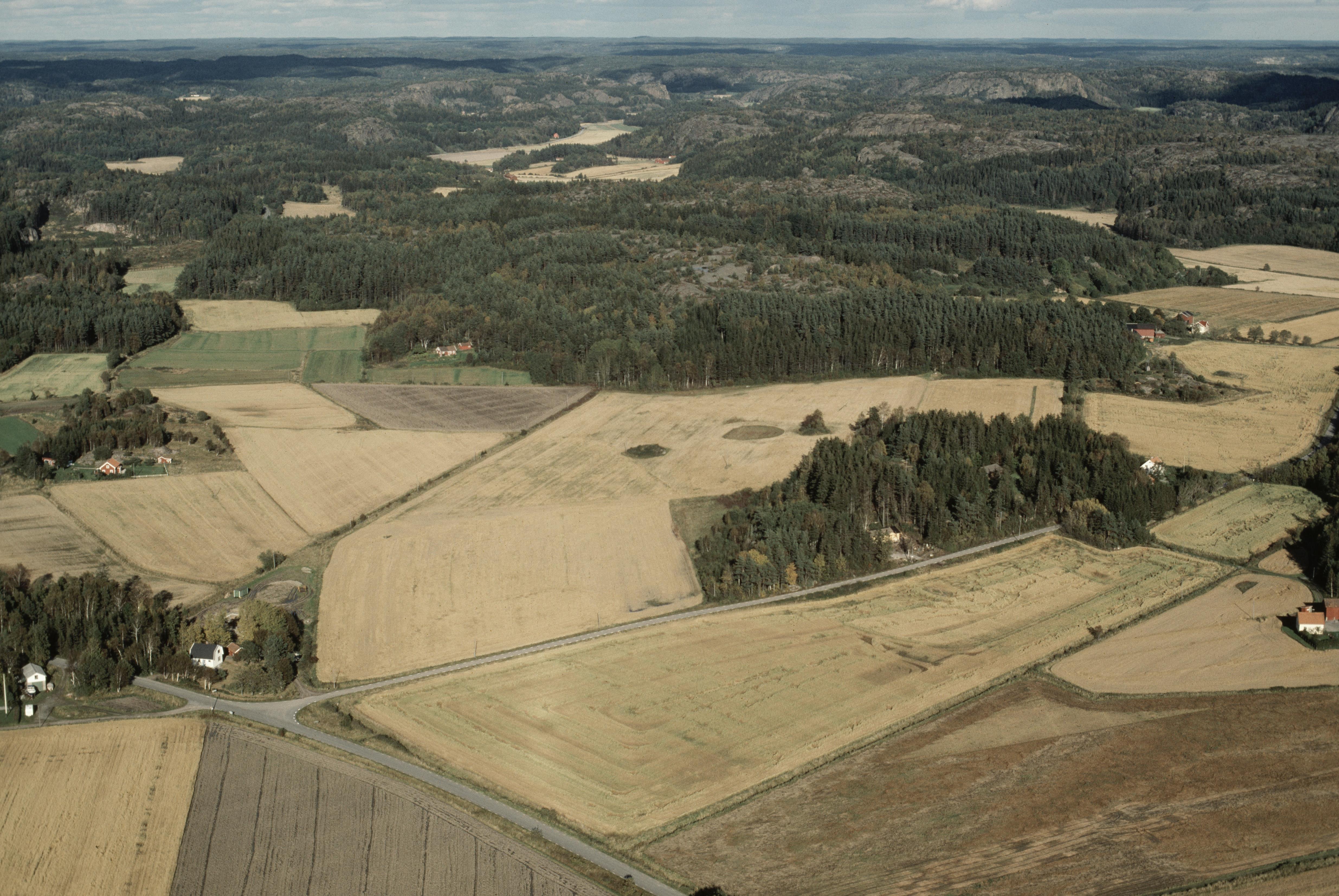 Jan Norrman, Bottna 205:1