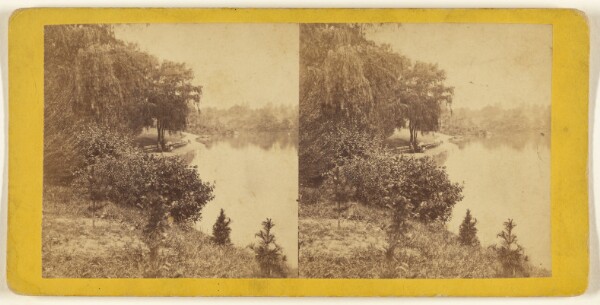 Edward and Henry T. Anthony & Co., Central Park. The Lake.