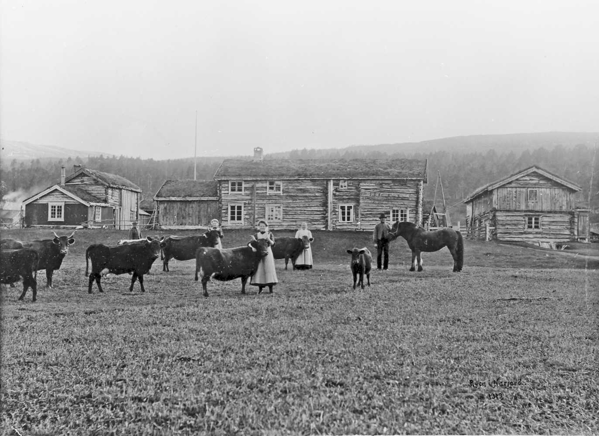 Peder J. Bredalslien, Ryen vestre, gård, eldhus, sommerstue, vedskål, bur, vinterstue, stallbygning, brunn, fjøs, dølafe, hest,