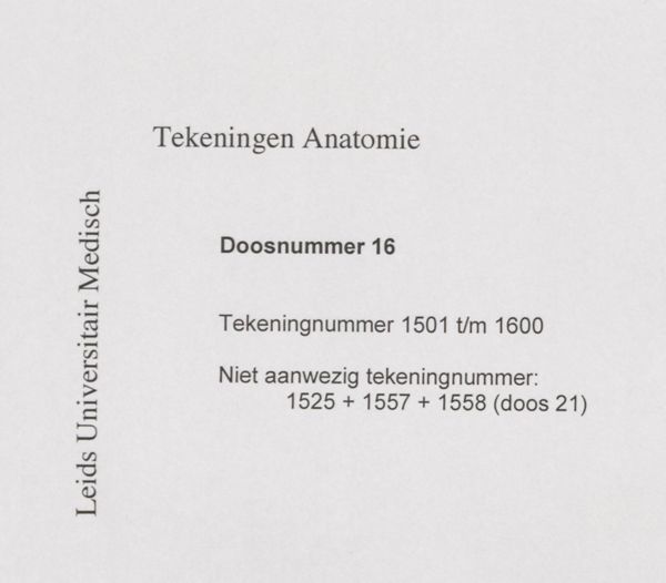 J Tinkelenberg, Heart