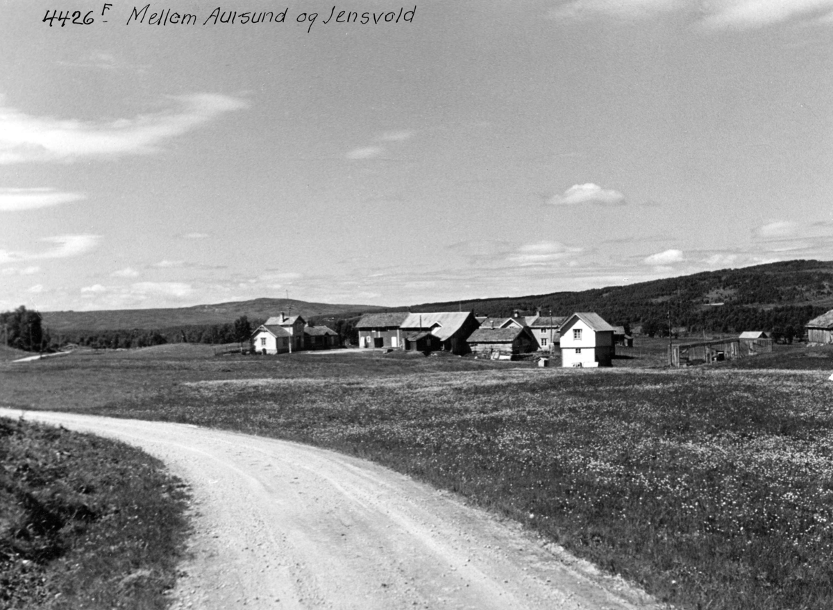 Anders Beer Wilse, Topografi