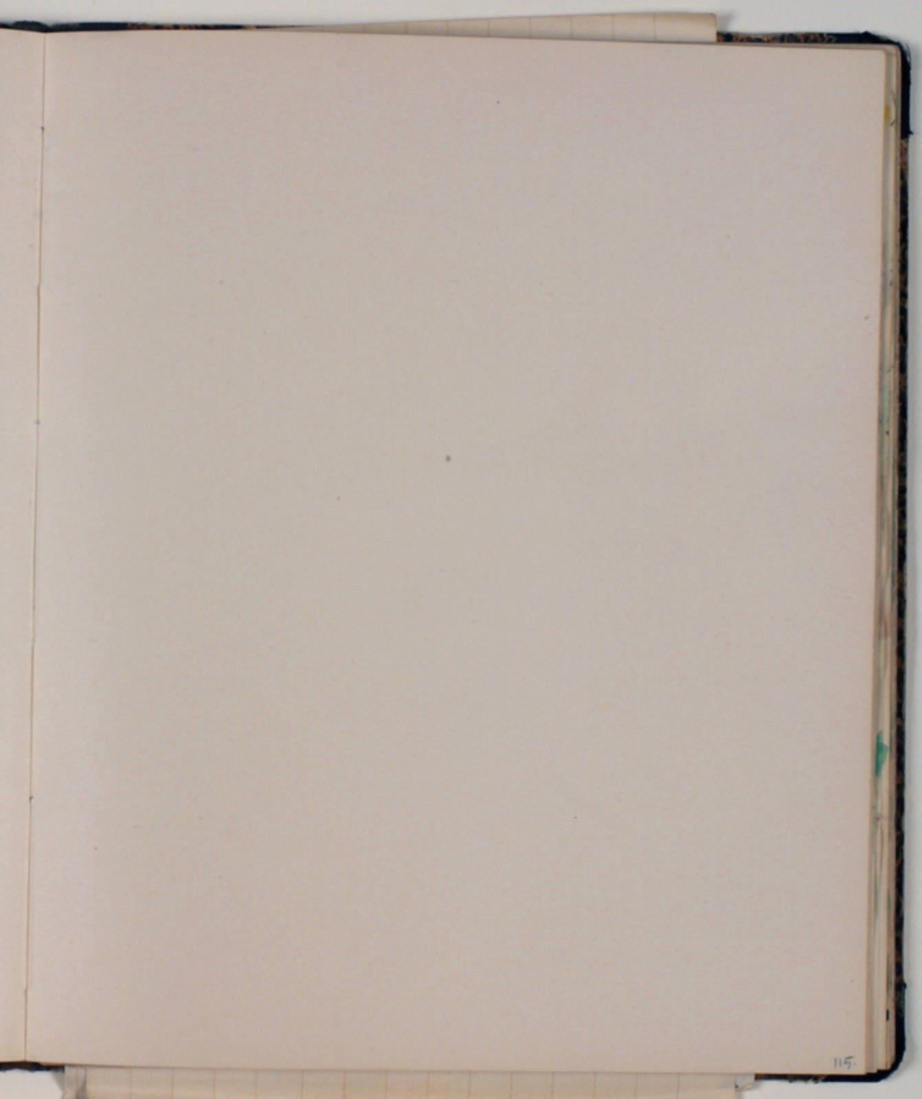 Niels Larsen Stevns, Blank