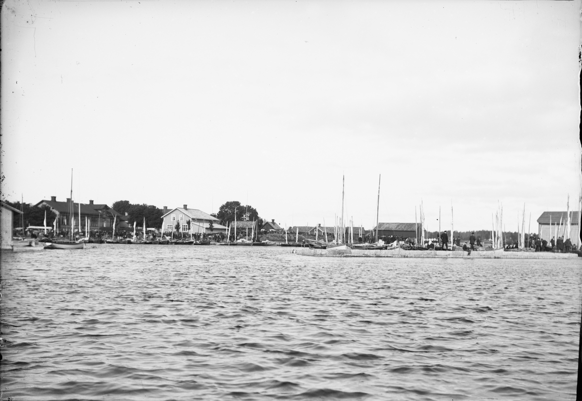 Skötsner-Edhlund, "Östhammars hamn fylld med strömmingsbåtar på marknadsbesök", Östhammar, Uppland