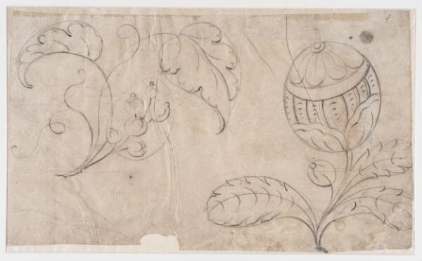 unknown, Drawing