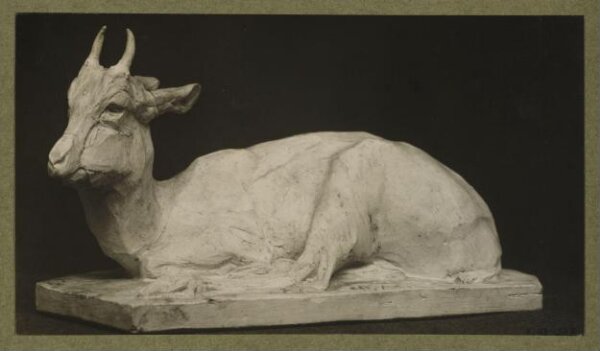 unknown, Photograph
