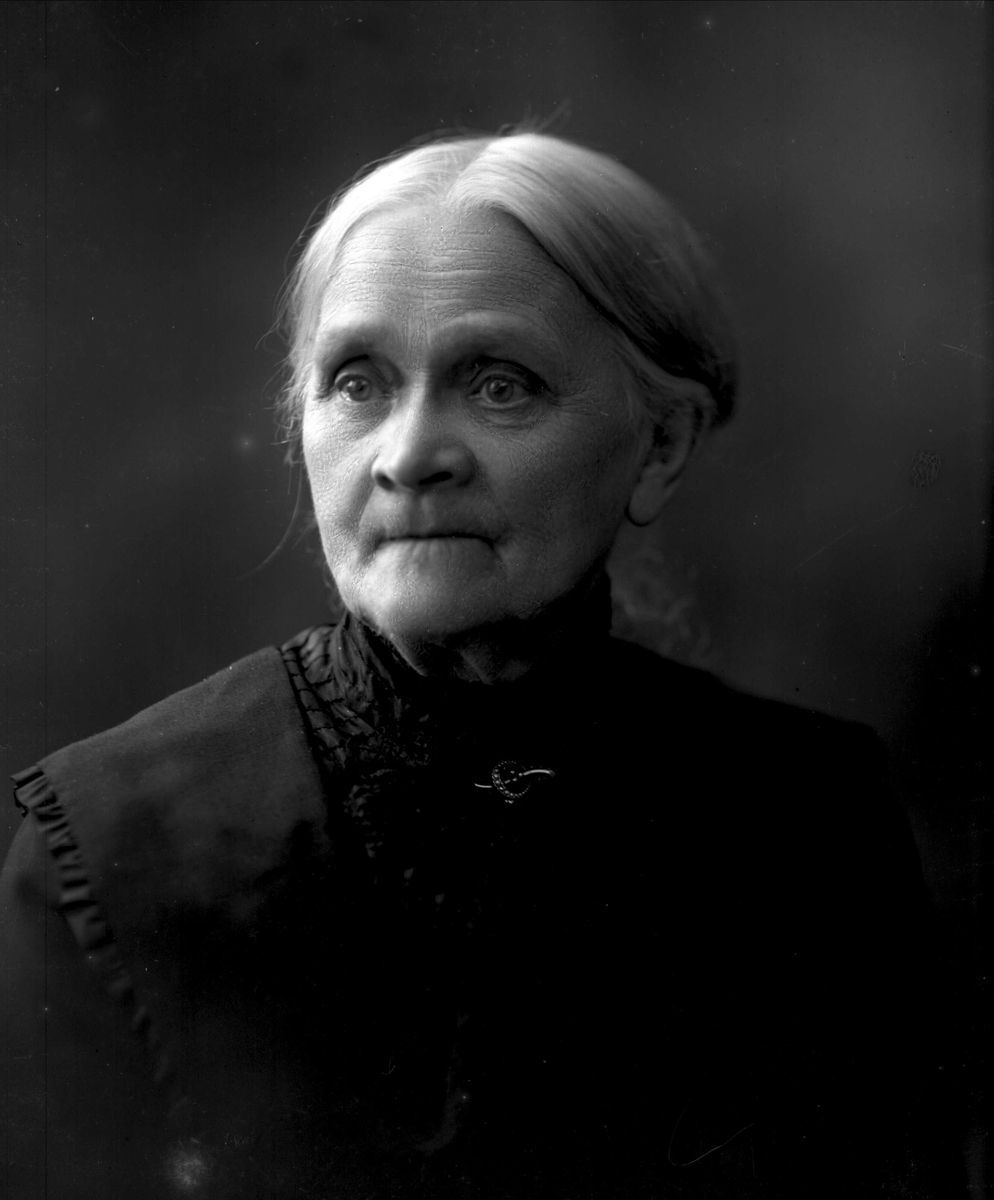 Gustav Borgen, NFB.10290