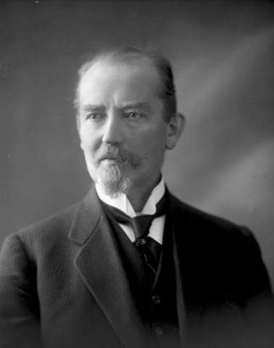 Gustav Borgen, Portrett, mann med skjegg. Skolebestyrer Gjønnæss.