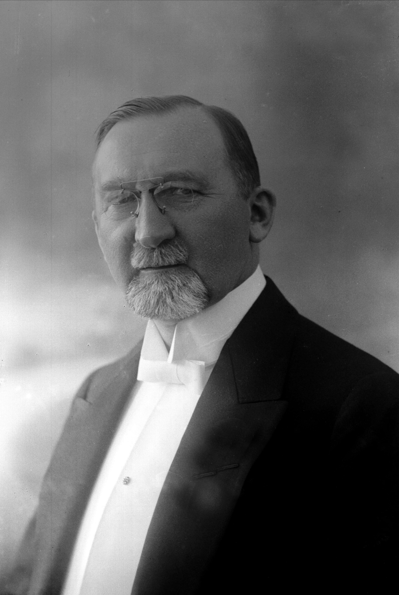 Gustav Borgen, NFB.11766
