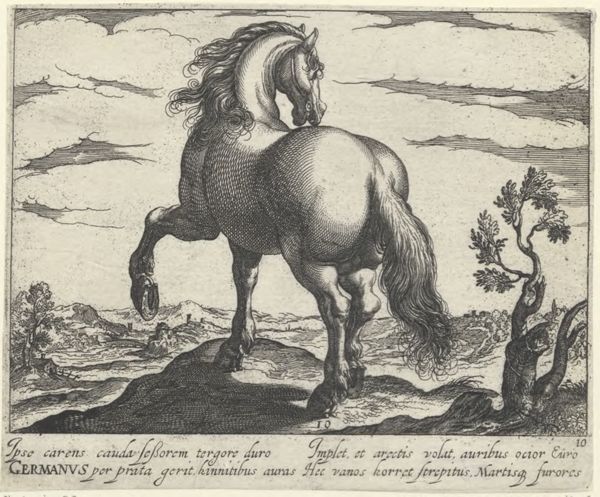 Panderen, Egbert van, (1581-1637?), (printmaker), Horse breeds: Landscape with a German horse